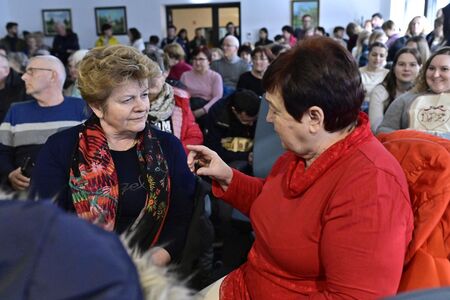 Deseta državna razstava strukljev (35)